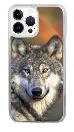 Cover in Gomma iPhone 13 Pro Max