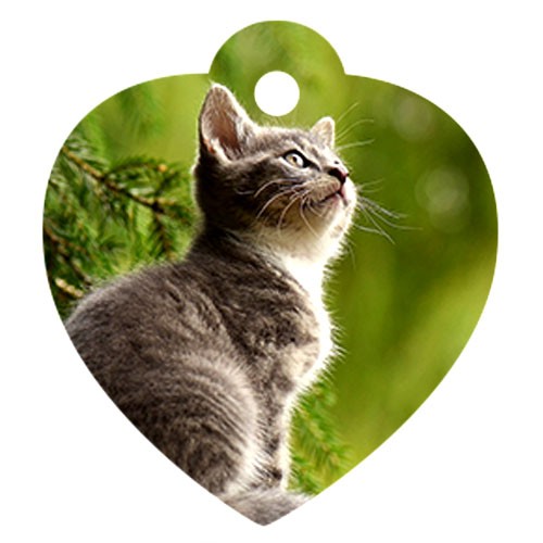 Medagliette per Animali forma a Cuore