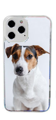 Cover in Gomma iPhone 12 Pro Max