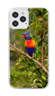 Cover in Gomma iPhone 12