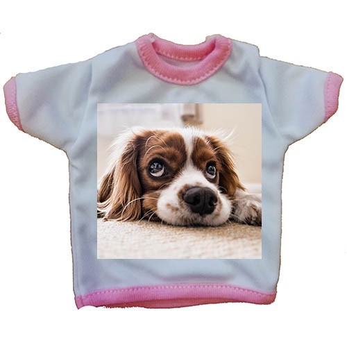 Mini T-Shirt per Auto Rosa