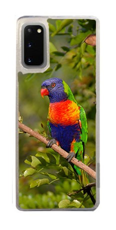 Cover in Gomma Samsung Galaxy S20