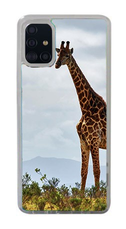 Cover in Gomma Samsung Galaxy A41