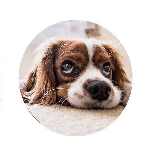 Magnete Puzzle Rotondo