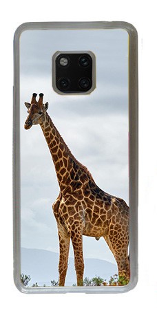 Cover in Gomma Huawei Mate 20 Pro