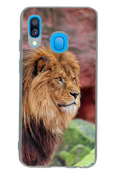 Cover in Gomma Samsung Galaxy A40