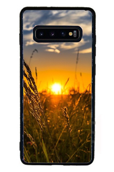 Cover in Gomma Samsung Galaxy S10 Plus