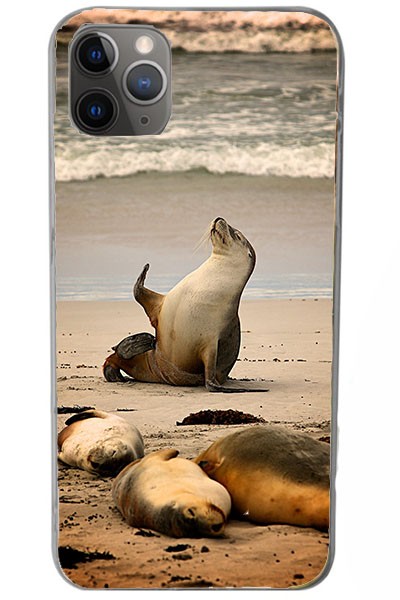 Cover in Gomma iPhone 11 Pro Max