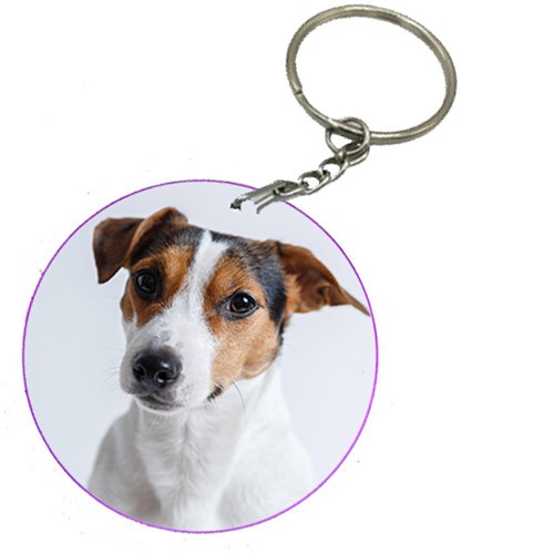 Portachiavi Rotondo Bordo Viola